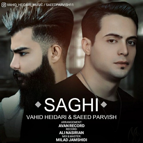 وحید حیدری و سعید پرویش ساقی